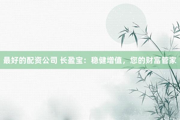 最好的配资公司 长盈宝：稳健增值，您的财富管家
