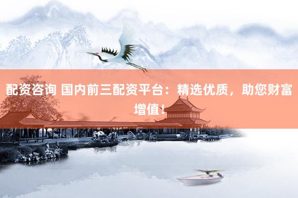 配资咨询 国内前三配资平台：精选优质，助您财富增值！