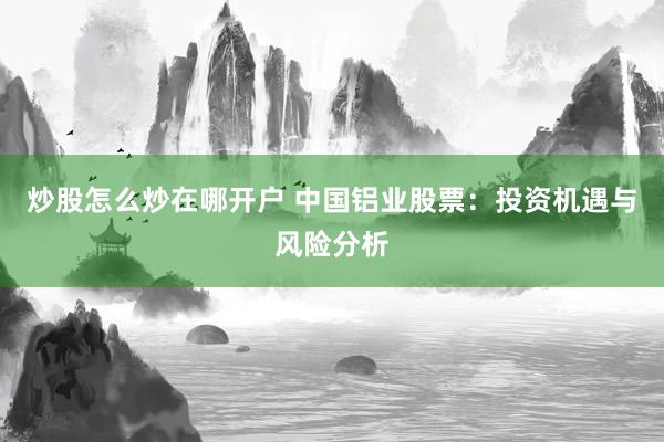 炒股怎么炒在哪开户 中国铝业股票：投资机遇与风险分析