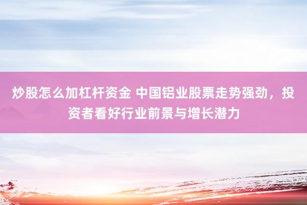 炒股怎么加杠杆资金 中国铝业股票走势强劲，投资者看好行业前景与增长潜力