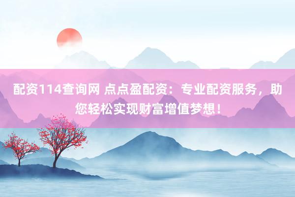 配资114查询网 点点盈配资：专业配资服务，助您轻松实现财富增值梦想！