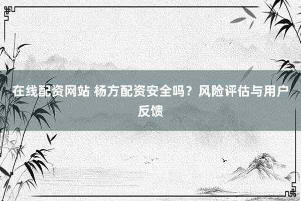 在线配资网站 杨方配资安全吗？风险评估与用户反馈