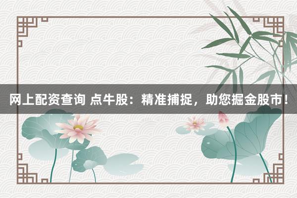 网上配资查询 点牛股：精准捕捉，助您掘金股市！