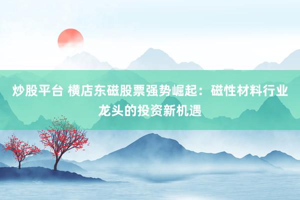 炒股平台 横店东磁股票强势崛起：磁性材料行业龙头的投资新机遇