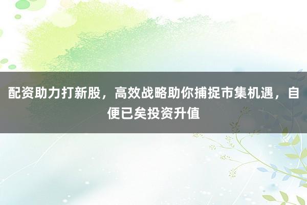 配资助力打新股，高效战略助你捕捉市集机遇，自便已矣投资升值