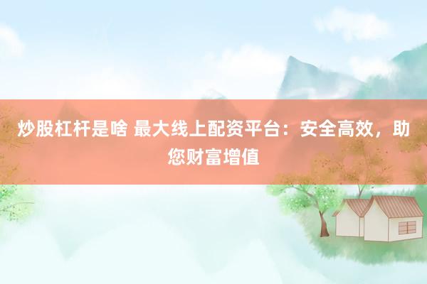 炒股杠杆是啥 最大线上配资平台：安全高效，助您财富增值